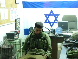 ארז לב-רן